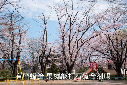 有蜜蜂給 果樹能打石硫合劑嗎