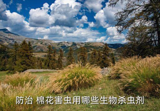 什么農藥打棉花密封好,棉花用什么農藥治蟲