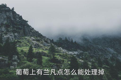 葡萄上有蘭凡點怎么能處理掉