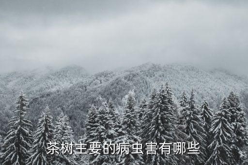 茶蠶用什么農藥好,什么茶最容易農藥超標