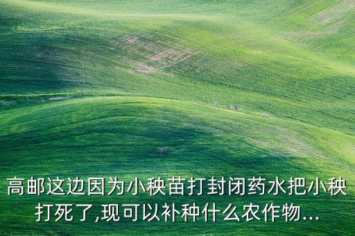 農藥打秧有什么用,蔬菜打農藥什么時間好