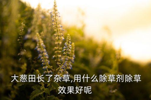 栽大蔥用什么農藥,大蔥打什么農藥綠油油