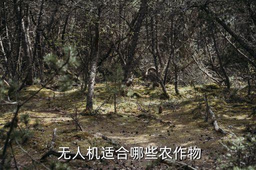 噴農藥無人機屬于什么類型,無人機打農藥需要注冊什么公司