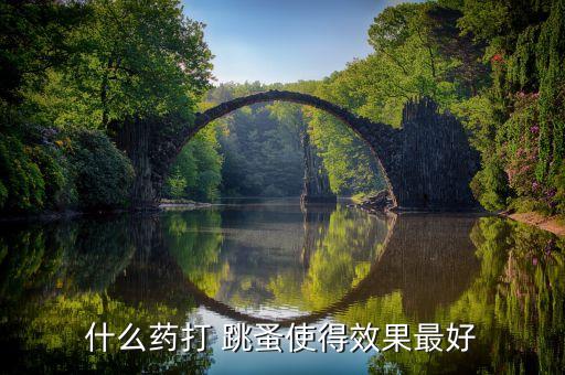跳蚤用什么農藥噴殺蟲劑,跳蚤噴了殺蟲劑要多久有效