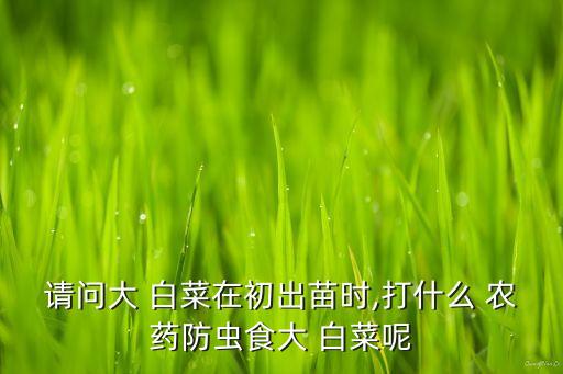 請問大 白菜在初出苗時,打什么 農藥防蟲食大 白菜呢