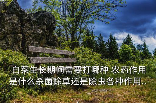 種白菜不能用什么農(nóng)藥消毒,白菜不能和什么一起種