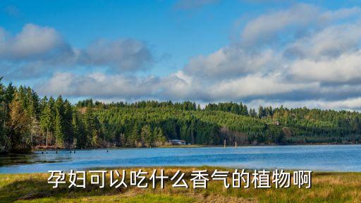 香椿苗用什么農藥
