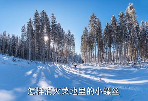 怎樣消滅菜地里的小螺絲