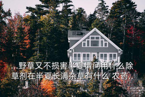 ...野草又不損害半夏請問用什么除草劑在半夏長滿雜草有什么 農藥...