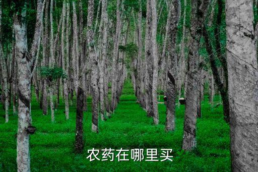  農藥在哪里買