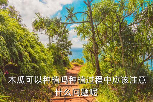  木瓜可以種植嗎種植過程中應該注意什么問題呢