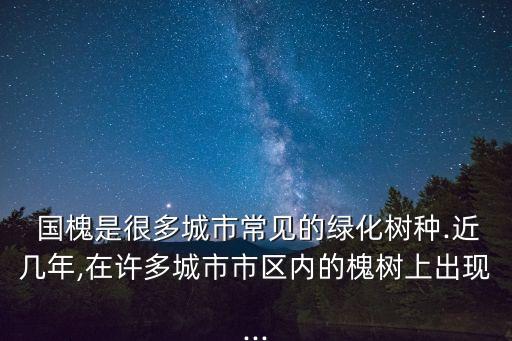  國(guó)槐是很多城市常見的綠化樹種.近幾年,在許多城市市區(qū)內(nèi)的槐樹上出現(xiàn)...