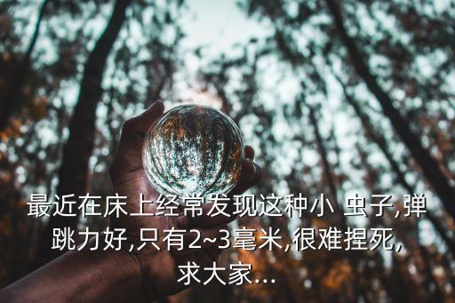 最近在床上經常發現這種小 蟲子,彈跳力好,只有2~3毫米,很難捏死,求大家...