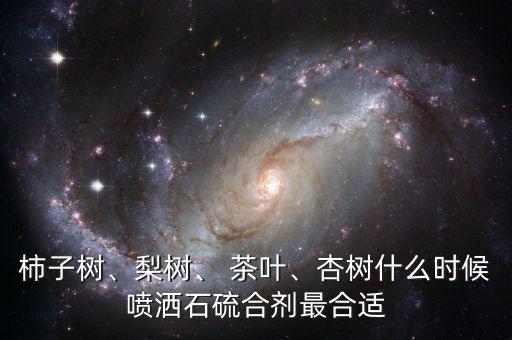 柿子樹、梨樹、 茶葉、杏樹什么時候噴灑石硫合劑最合適