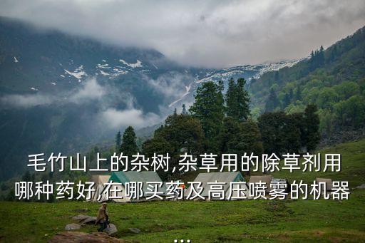 毛竹用什么農藥最好,毛竹根什么時間栽最好