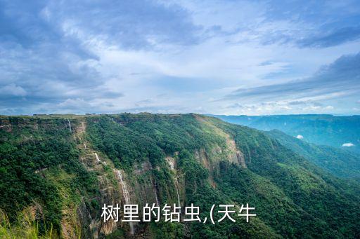 頂針蟲用什么農藥,打茶葉蟲什么農藥最好