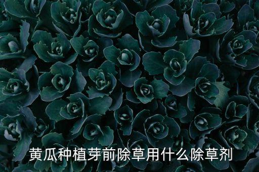  黃瓜種植芽前除草用什么除草劑