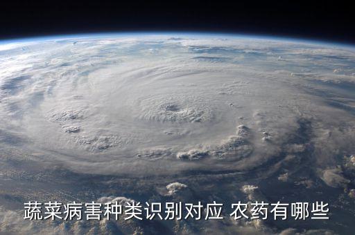 銳勁特農藥都治什么病