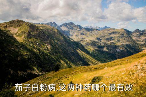 茄子好壞打什么農(nóng)藥,茄子不能用什么農(nóng)藥