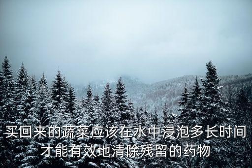 青菜有農(nóng)藥什么水泡好,用蘇打水泡青菜可以去除農(nóng)藥嗎
