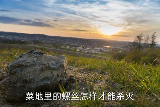 菜地里的螺絲怎樣才能殺滅