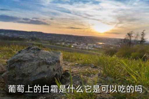 什么葡萄不用農藥殘留,葡萄是不是農藥殘留比較多的
