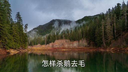 什么農藥能殺鵝,菜蟲用什么農藥殺比較好?