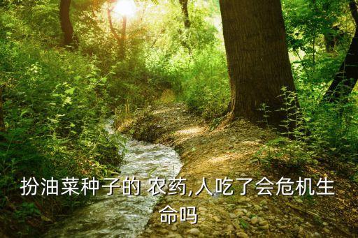 扮油菜種子的 農藥,人吃了會危機生命嗎