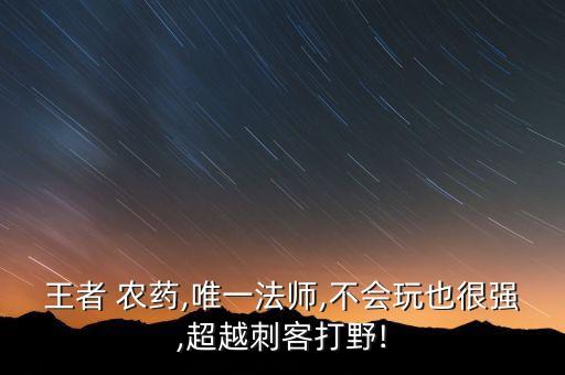 王者 農(nóng)藥,唯一法師,不會(huì)玩也很強(qiáng),超越刺客打野!