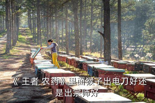 王者農藥專屬裝備是什么,打王者農藥是什么意思