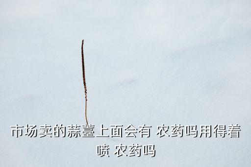 市場賣的蒜薹上面會有 農藥嗎用得著噴 農藥嗎