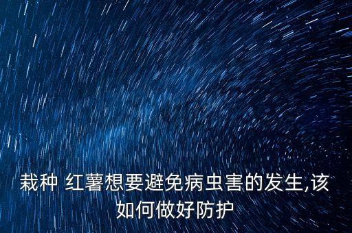 紅薯地里放什么農藥防蟲,紅薯要噴什么農藥呢
