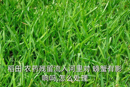 稻田 農(nóng)藥殘留流入河里對(duì) 螃蟹有影響嗎,怎么處理