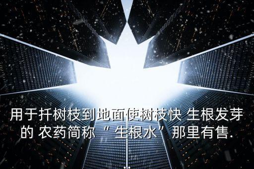 用于扦樹枝到地面使樹枝快 生根發(fā)芽的 農(nóng)藥簡稱“ 生根水”那里有售...