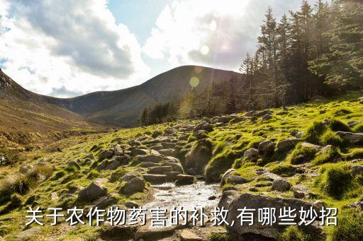 關(guān)于農(nóng)作物藥害的補(bǔ)救,有哪些妙招