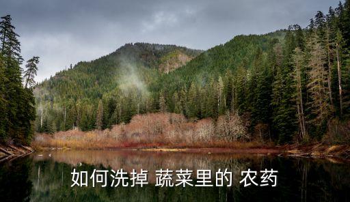 去除蔬菜農(nóng)藥有什么辦法,蔬菜凈化器真的可以去除農(nóng)藥嗎