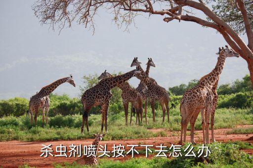 殺蟲劑噴頭按不下去怎么辦