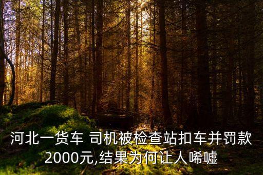 司機為什么喝農藥,河北大貨車司機喝農藥身亡