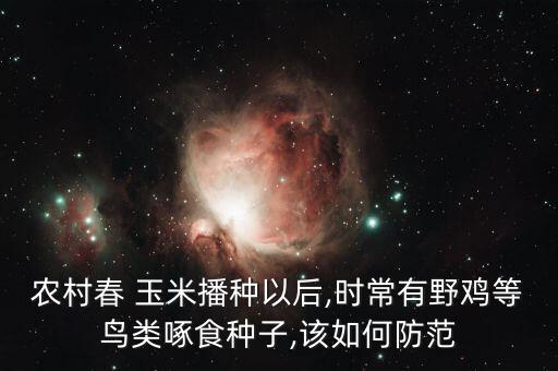 鳥吃玉米用什么農藥,玉米有農藥味蒸熟后吃有問題