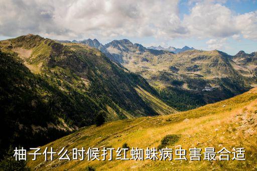 柚子怎么用什么農(nóng)藥好,柚子噴什么農(nóng)藥