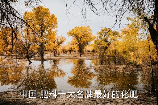 中國 肥料十大名牌最好的化肥