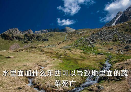 什么農藥能讓青菜快死,青菜用什么洗可以去農藥