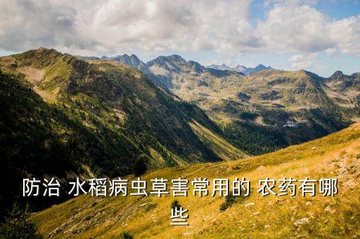 水稻需要噴灑什么農藥,無人機水稻噴灑農藥