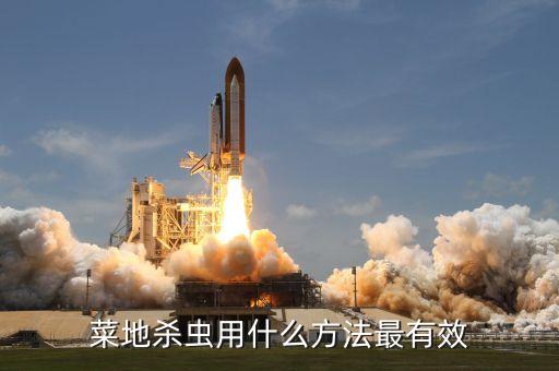 菜葉上的蟲卵用什么農(nóng)藥