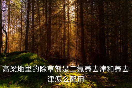 高粱都是用什么農藥,高粱打什么農藥效果最好