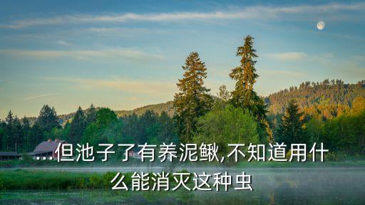 用什么農藥能殺死蓮藕蟲,什么除草劑能殺死蓮藕