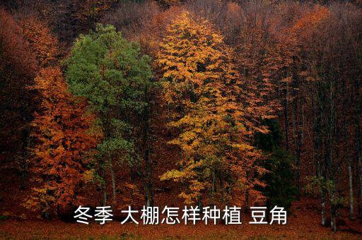 大棚長豆角用什么農藥好,大棚里的豆角打農藥嗎