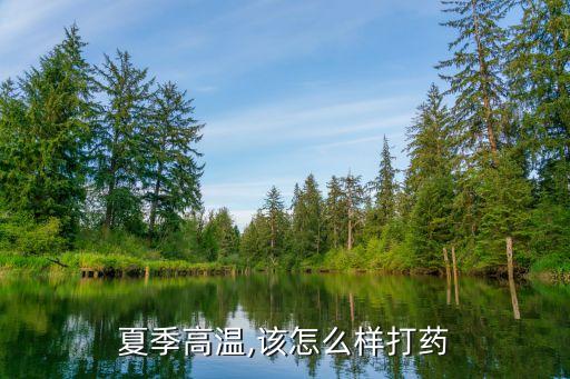 夏天買什么農藥好些實惠,夏天打農藥什么時間最好