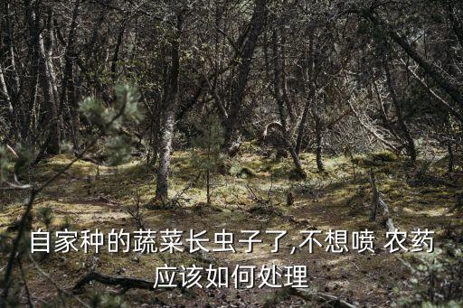 自家種的蔬菜長蟲子了,不想噴 農藥應該如何處理