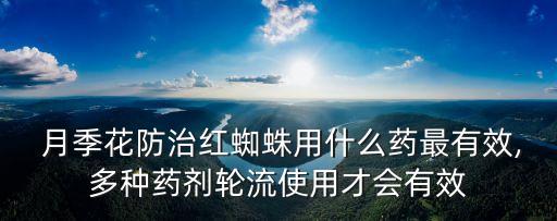 什么農藥能殺死月季花,殺死月季花的農藥